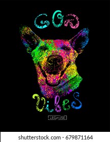 Goa vibes - an image of a positive laughing Goan Dog, as a symbol of Goa, in the colors of the Indian Festival of Holi with a handwritten inscription. Poster for a party or design of a T-shirt.