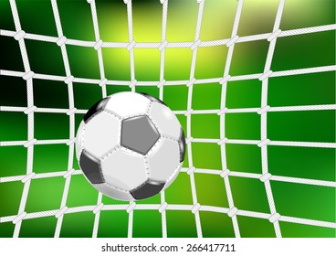 goal net.