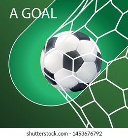 Goal .Soccer ball in a grid on a green background. Scored. Vector illustration