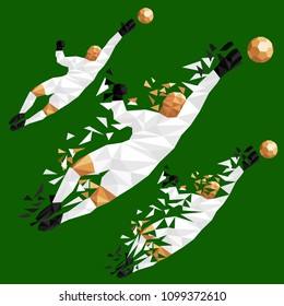 goalkeeper vector illustration soccer football player low-poly style concept england kits uniform colour