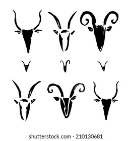 Goat 2015 set. New year Symbol. Chinese Zodiac. Vector  Hand drawn Illustration.