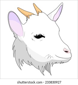 Goat