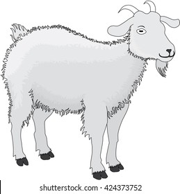 Goat