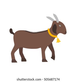 Goat