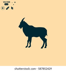 goat