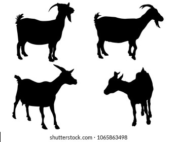 Goat animal silhouette 