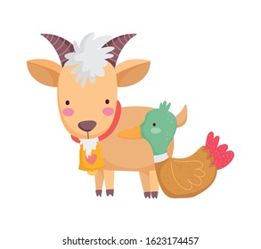 goat with bell duck farm animal cartoon vector illustration