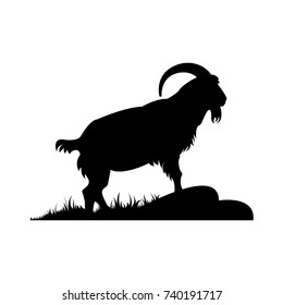 A goat with big horns in profile. Silhouette of an adult pet isolated on white background.