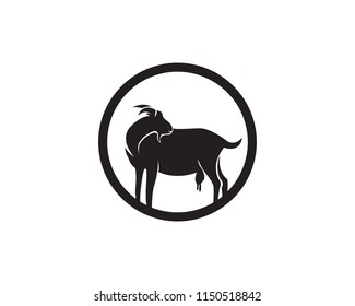 Goat black animal qur'ban symbols logo
