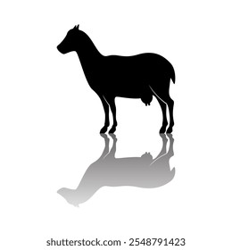 Goat black silhouette isolated on white background. Farm animal. Vector illustration