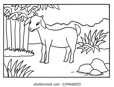 Goat in black and white