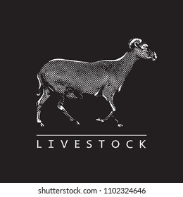 Goat - black and white vector illustration. Cute farm animal image in profile in engraving style, isolated on black background. Portrait side view, graphic design element for logo or template.