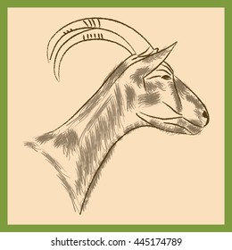 Goat (boy). Sketch. Portrait in profile with horns