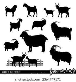 Goat breeds silhouettes. Vector illustration.