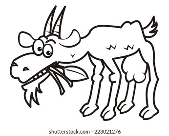 goat, coloring book