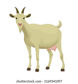 Goat Cute Character Clipart Cartoon Drawing Illustration Vector