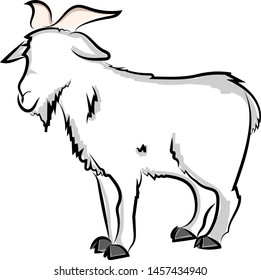 Goat drawing, illustration, vector on white background.