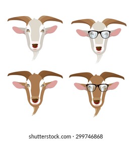 goat faces.