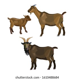 Goat family. Buck, nanny and kid. Vector illustration isolated on white background