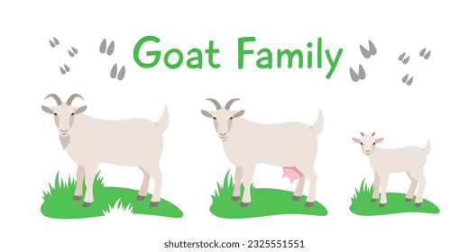 Goat family with kid standing on grass. Flat vector cartoon illustration. Isolated on white. Domestic farm livestock animals family, mature male and female with offspring. Full length, side view