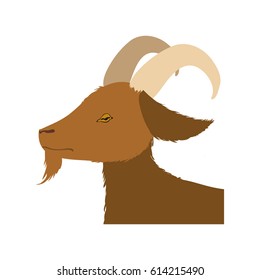Goat farm animal