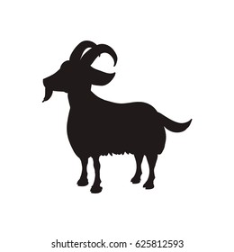Goat farm animal