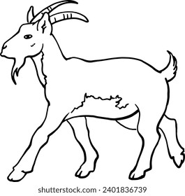 A goat is a farm animal. Linear drawing of a walking goat in profile. Cattle. For veterinary clinics and farms. For printing signs, brochures, for printing on dishes and clothing. Vector image