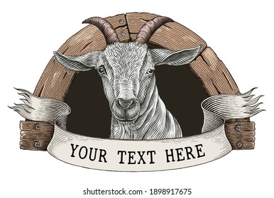 Goat farm logo hand draw vintage engraving style clip art isolated on white background