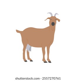 Goat, Farming Flat Vector Illustration