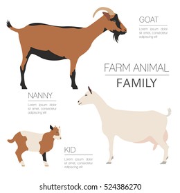 Goat farming infographic template. Animall family. Flat design. Vector illustration