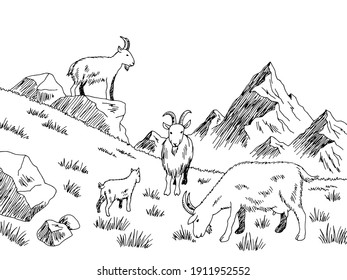 Goat feeding grass meadow mountains graphic black white sketch illustration vector