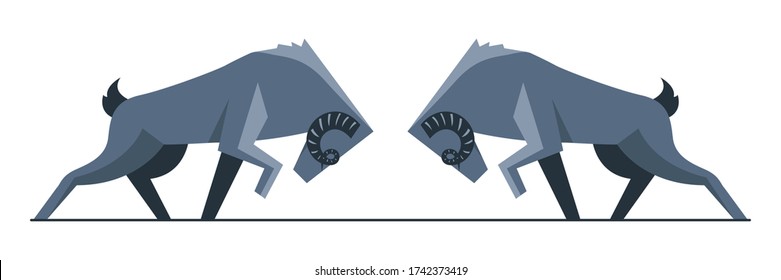 Goat Fighting, Goat Mating Season,  
