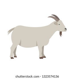 Goat flat icon.You can be used goat icon for several purposes like: websites, UI, UX, print templates, presentation templates, promotional materials, web and mobile phone apps.