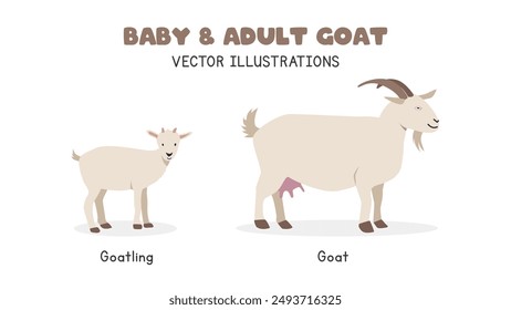 Goat and goatling vector illustrations. Adult and baby goat cartoon clipart in flat style. Farm animals concept