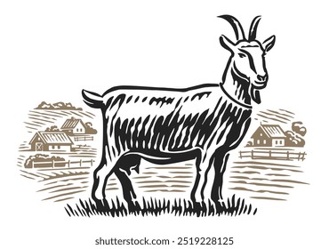 Caprinos pastam no prado. Desenho à mão esboçar paisagem rural com animal de fazenda. Esboço de gravura estilo vetor ilustração