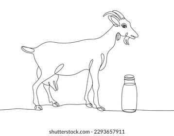 The goat is grazing in the meadow. Herbivore. Next to the goat is a bottle of milk. One line drawing for different uses. Vector illustration.