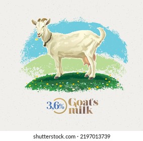 Goat grazing in a meadow, standing on top of a hill, rural scene, vector illustration.