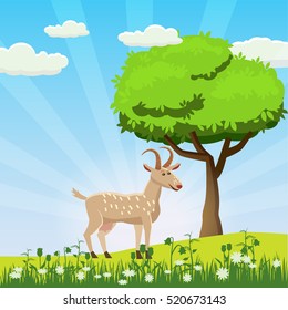 Goat grazing in a meadow, tree, sun, sunrise, flowers, Cartoon style, vector illustration