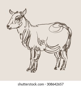 goat hand draw sketch, vector