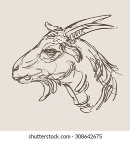 goat hand draw sketch, vector