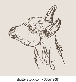 goat hand draw sketch, vector