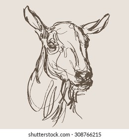 goat hand draw sketch, vector
