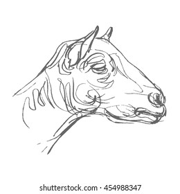 goat hand draw sketch, vector