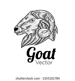 goat hand drawn