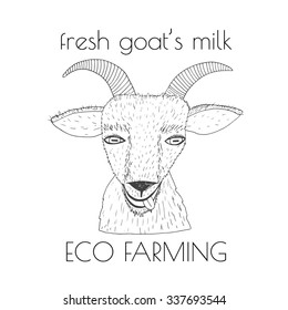Goat hand drawn portrait, milk or cheese package, goat's milk