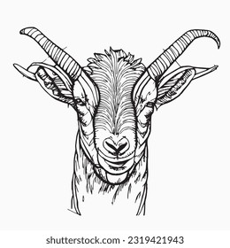 goat handrawn islamic eid al adha