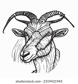 goat handrawn islamic eid al adha