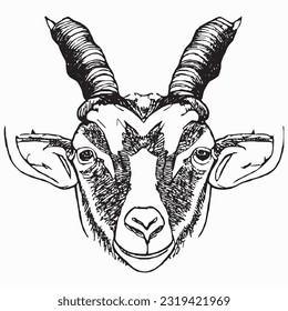goat handrawn islamic eid al adha