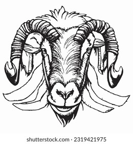 goat handrawn islamic eid al adha
