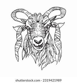 goat handrawn islamic eid al adha